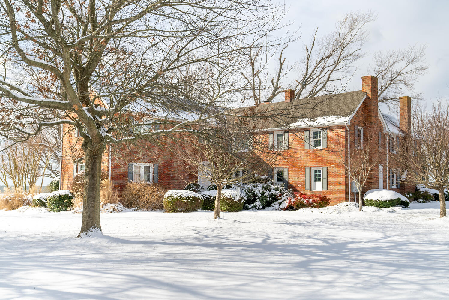 Brick House in winter — bare trees, snow on the boxwoods